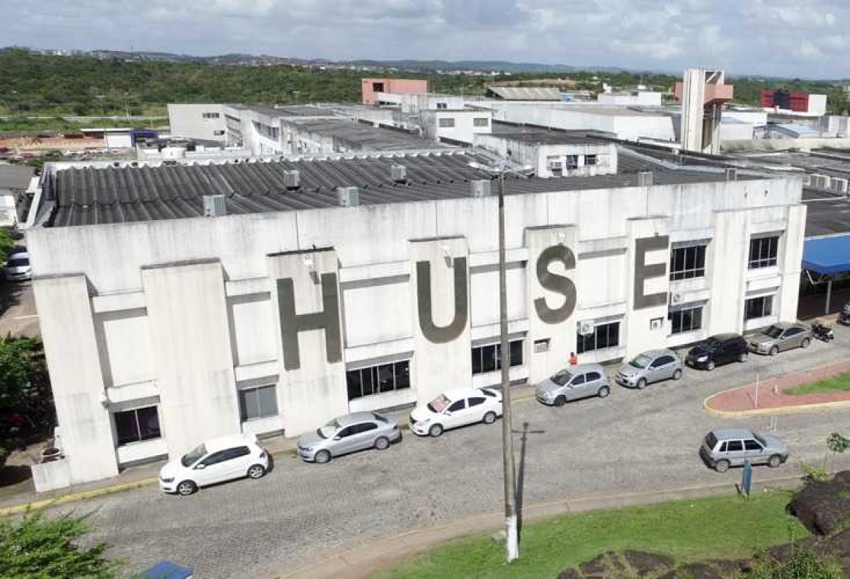Huse registra 449 casos por intoxicação envolvendo escorpiões (Foto: Ascom SES/SE)