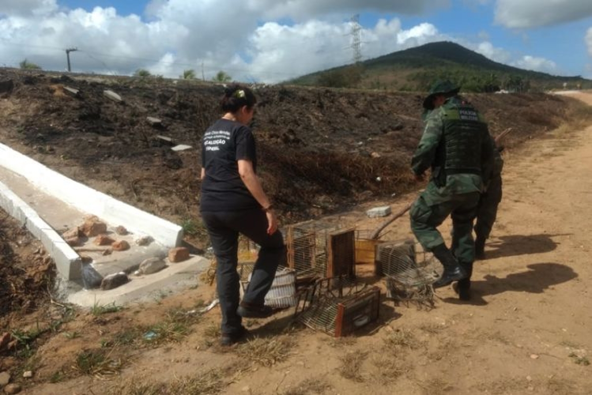 Pelotão Ambiental e Instituto Chico Mendes realizam operação na Serra de Itabaiana (Foto: SSP/SE)