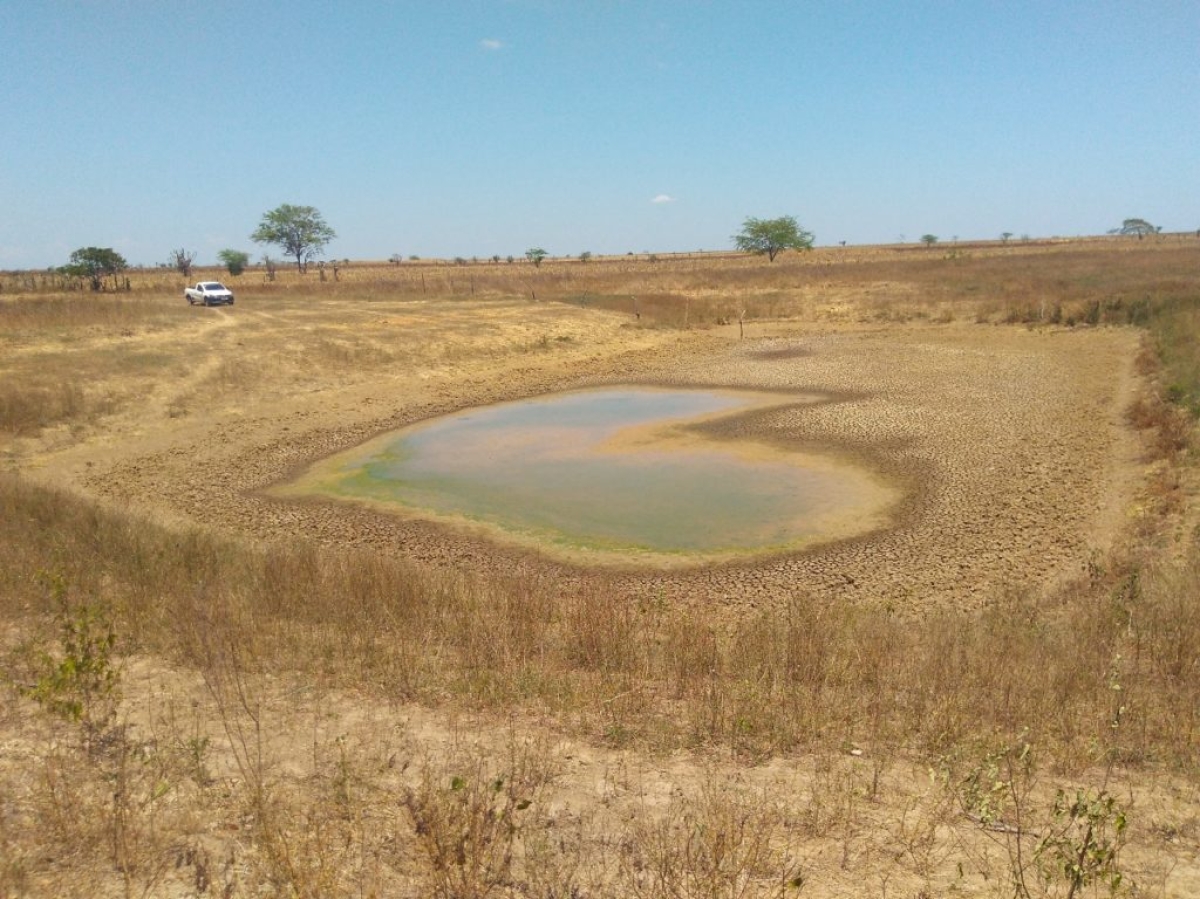 Sergipe tem 21 municípios em situação de emergência por causa da seca; 234 mil pessoas são afetadas (Foto: Via Xodó News)