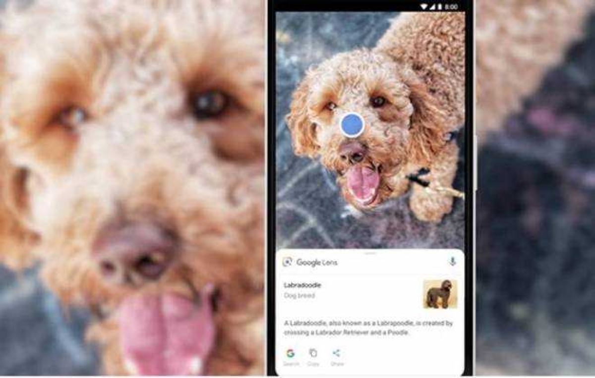 Como o Google Lens dá informações a partir de fotos que você faz com o celular (Foto: Reprodução/ Google)