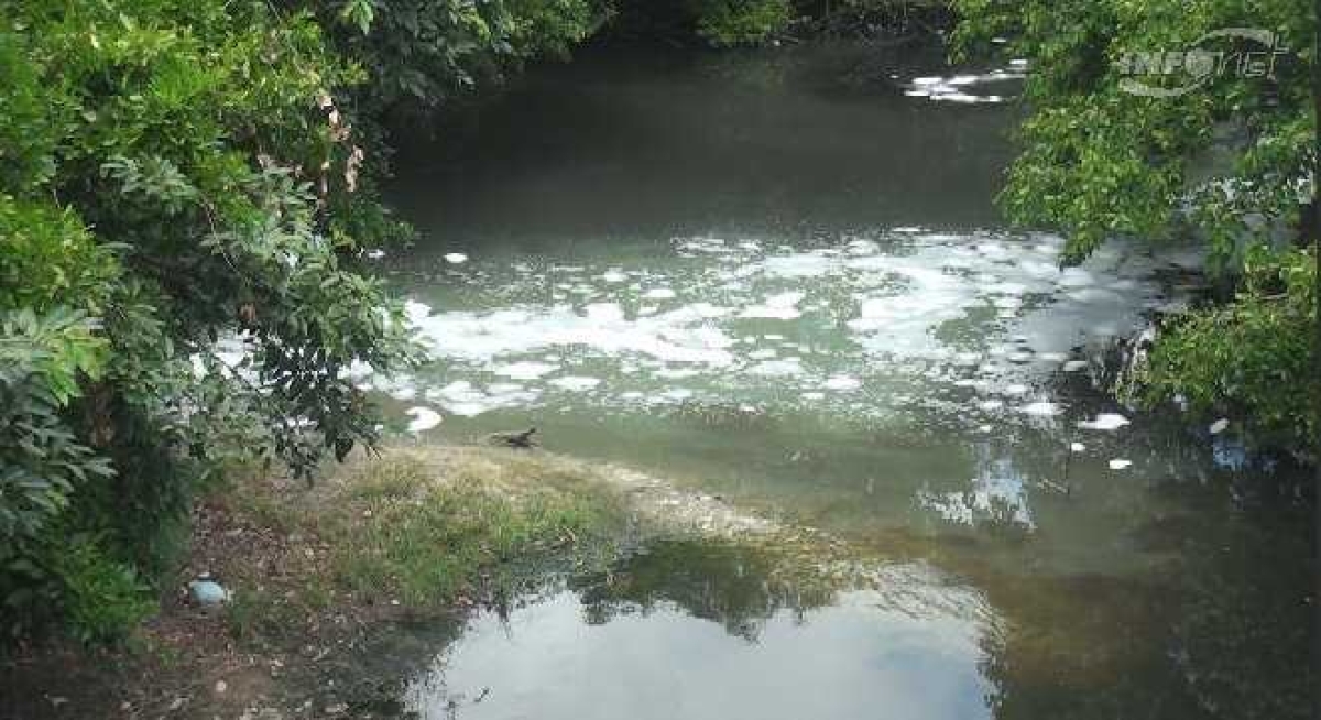 Excesso de fósforo e amônia causaram espuma no rio Poxim (Foto: Arquivo Portal Infonet)