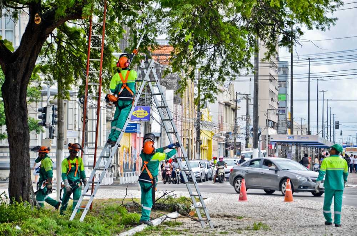 Retirar árvore de via pública ou da residência demanda autorização da Prefeitura (Foto: PMA)