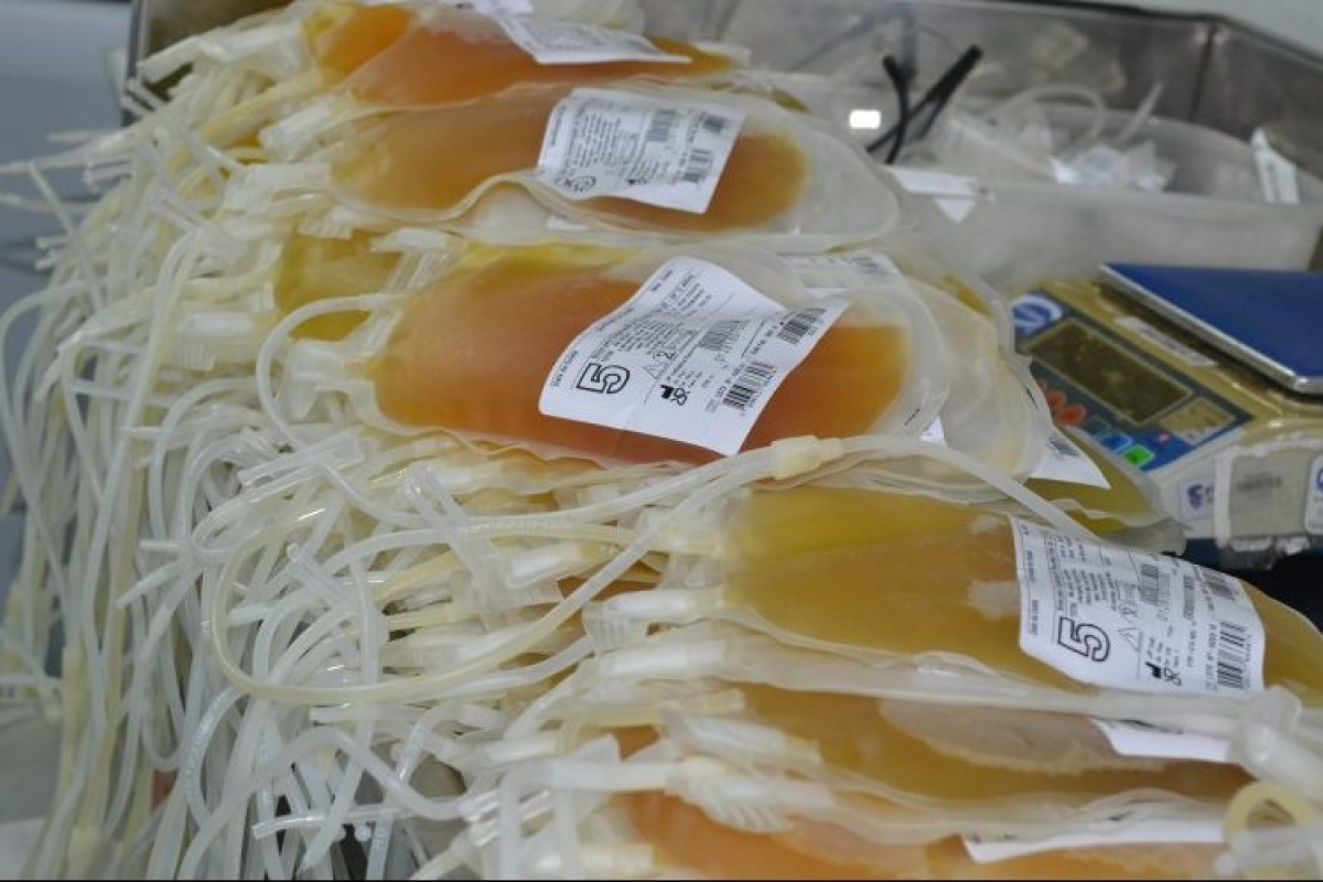 Adolescentes entre 16 e 17 anos podem fazer doação de sangue 
(Foto: SES/SE)