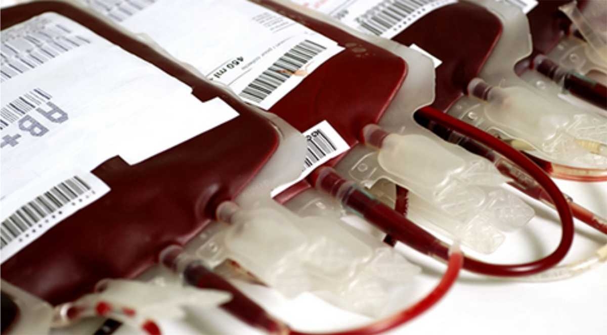 Especialista explica mitos sobre a doação de sangue (Foto: Via D Comunicação Estratégica)