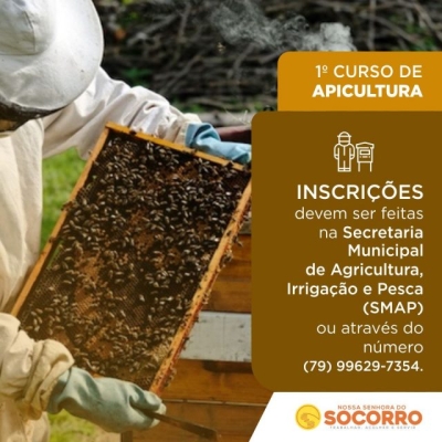 Estão abertas as inscrições para o 1º Curso de Apicultura (Imagem: Divulgação)