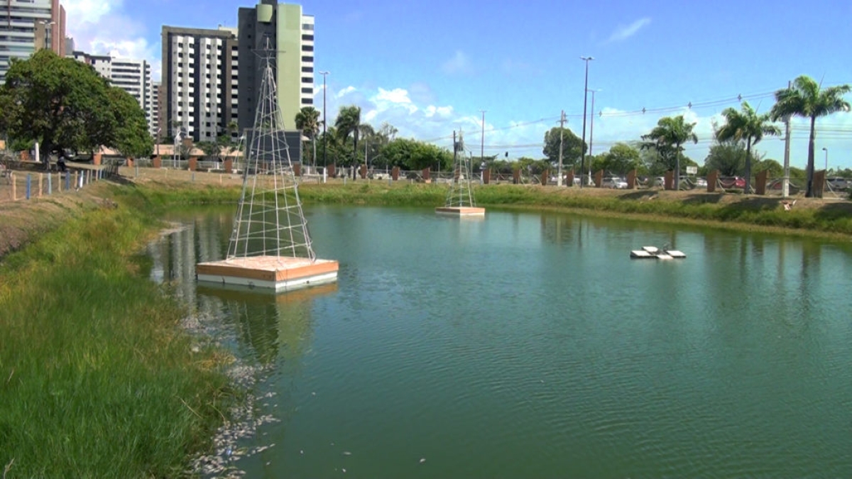 Peixes têm aparecido mortos na margem dos lagos (Foto: Portal Infonet)