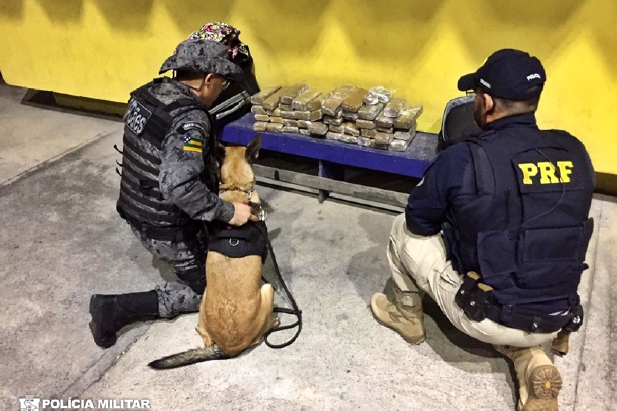 PM e PRF apreendem mais de 26kg de maconha com passageiro de ônibus interestadual (Foto: PM/SE)
