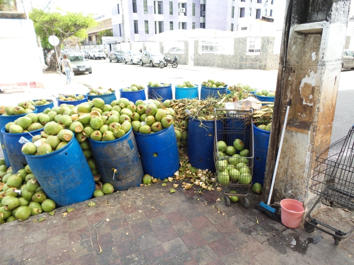 Vigilância Sanitária de Aracaju alerta sobre os cuidados ao comprar água de coco engarrafada (Foto: SMS/Aracaju)