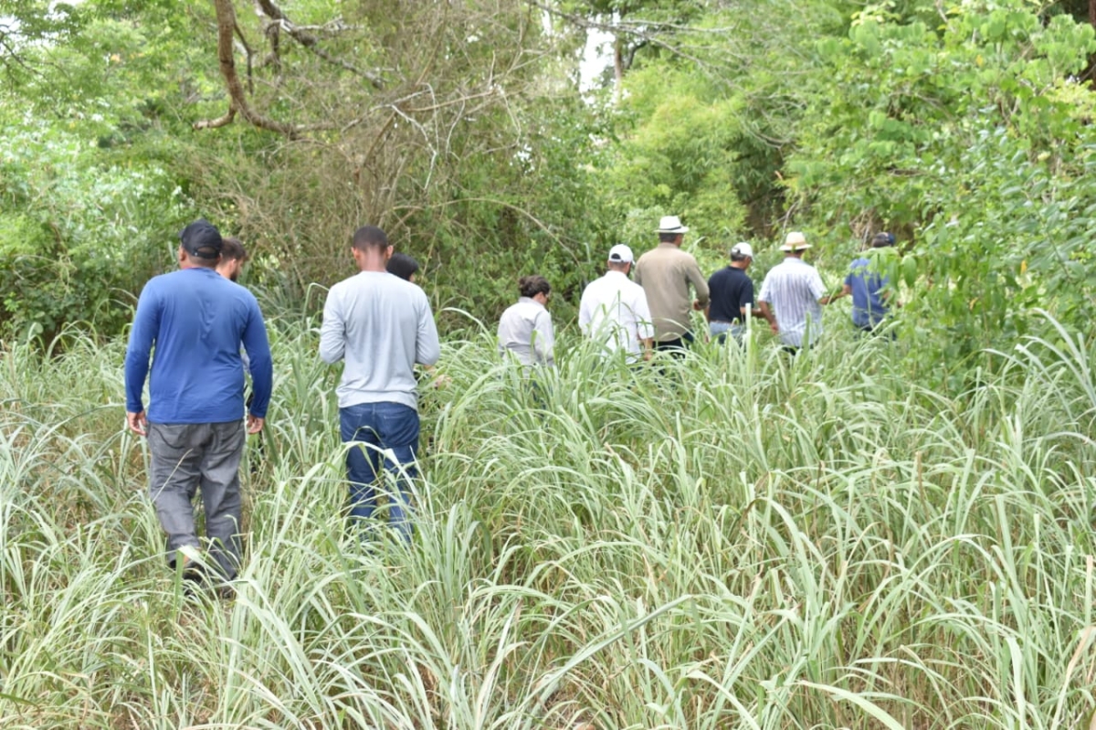 Denúncias de crimes ambientais são investigadas por órgãos do Estado (Foto: Sedurbs/SE)