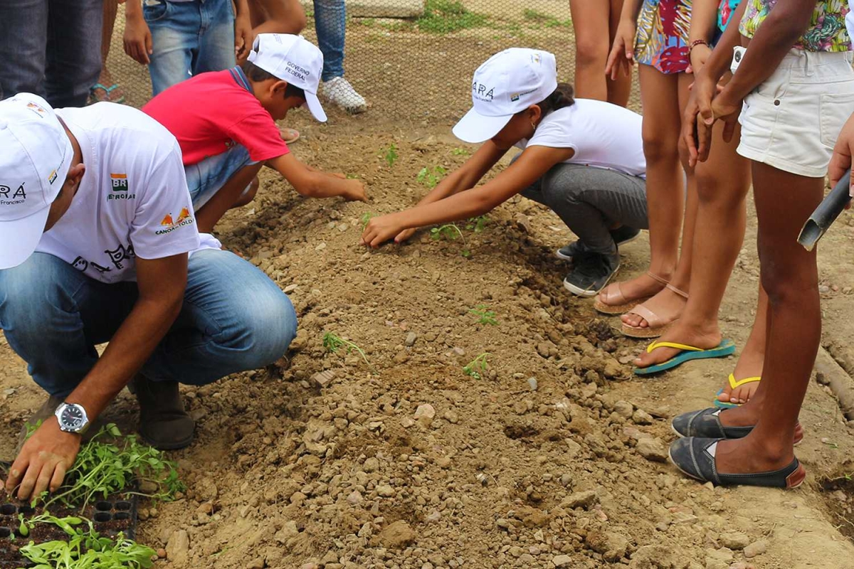 Crianças da Escola Municipal Dr. Luiz Garcia se envolveu com a horta saudável que fizeram com os estudantes da UFS (Foto: Projeto Opará)