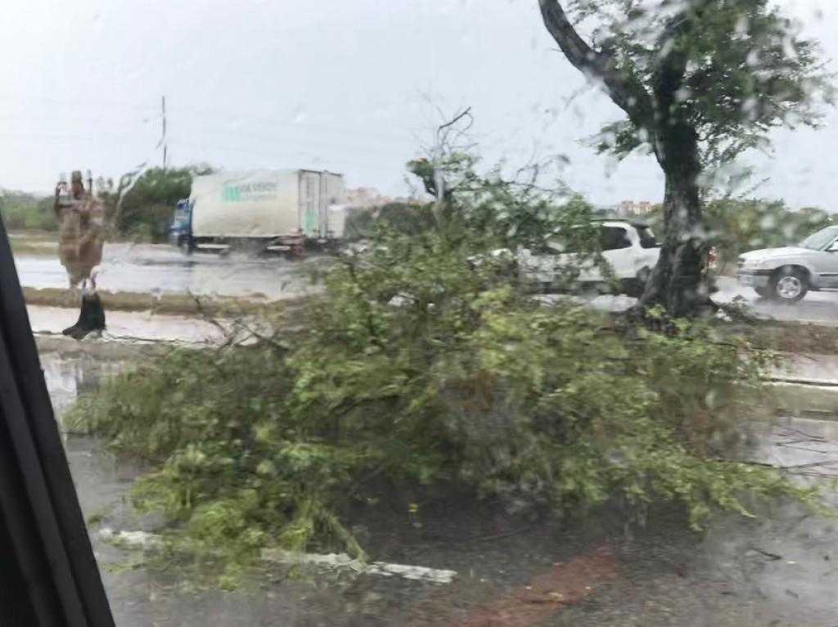 Chuvas e ventos em Aracaju provocam queda de árvores e várias inundações (Foto: Reprodução/ Redes sociais/ Via FaxAju)