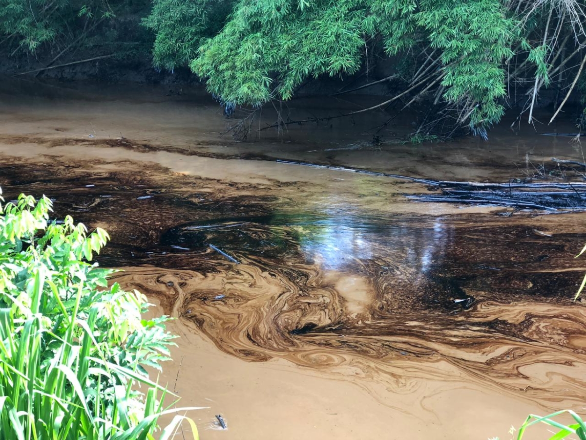 Petrobras e Adema continuam trabalho de contenção do óleo no rio Sergipe (Foto: Cedida por internauta/ Via F5 News)