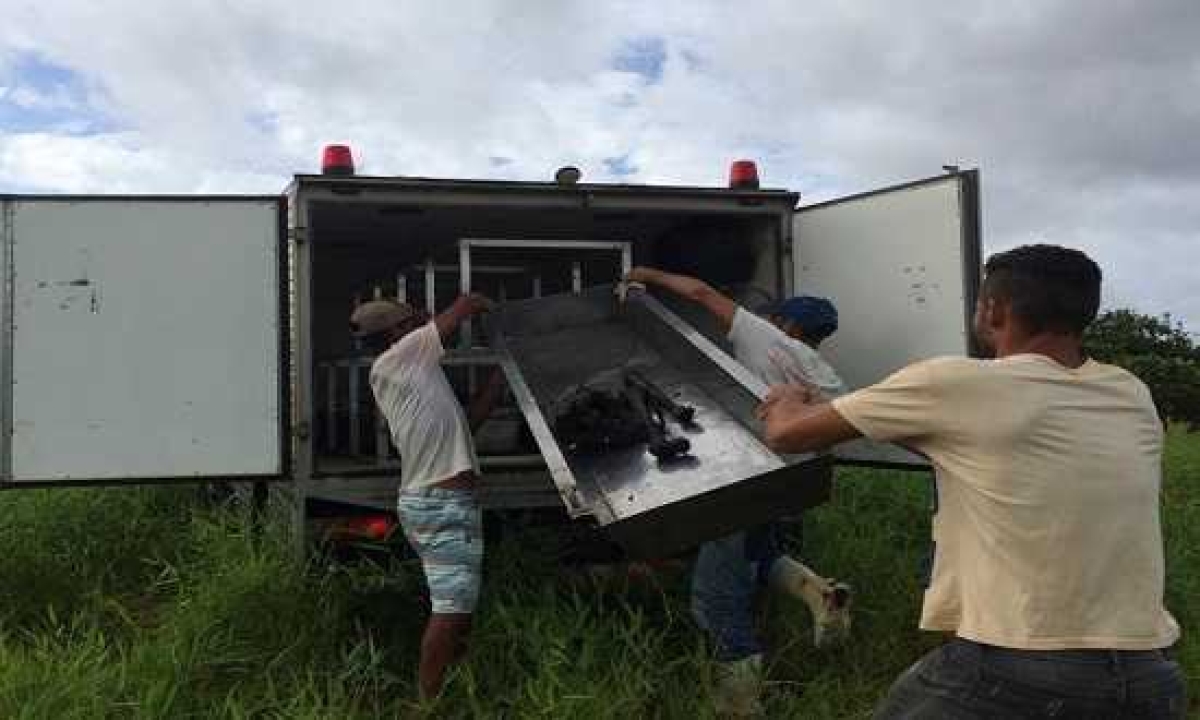 Pescador encontra ossada humana no povoado Colônia Treze (Foto: 7º BPM/ PM/SE)