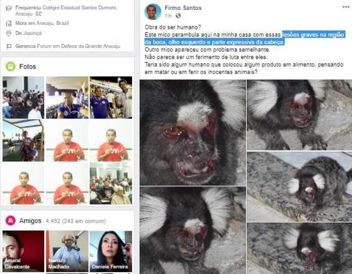 Servidor não consegue denunciar aos órgãos fiscalizadores e divulga em redes sociais (Foto: Arquivo pessoal)