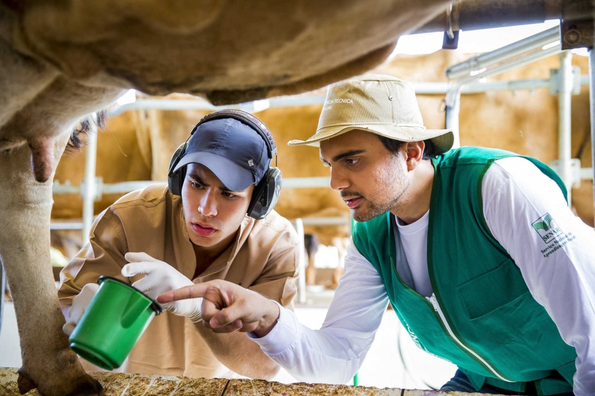 Higienização é fundamental para evitar casos de mastite bovina (Foto: Senar/SE)