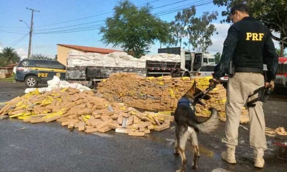 As drogas saíram do Paraná com destino a Sergipe (Foto: PRF)