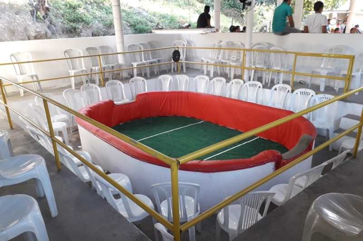 Policiais militares resgatam 25 animais em rinha de galo (Foto: SSP/SE)