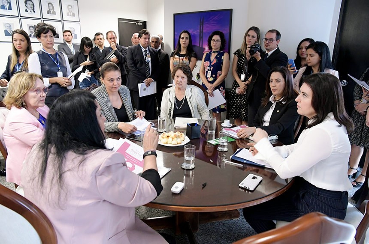 Congresso instala Comissão de Combate à Violência contra a Mulher (Foto: Assessoria Maria do Carmo Alves)