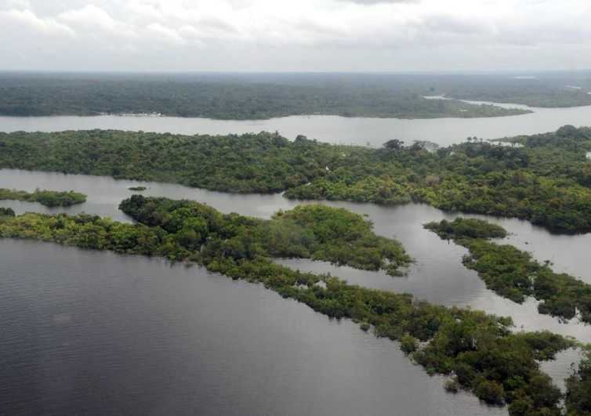 Floresta Amazônica (Foto: Valter Campanato/ Agência Brasil)