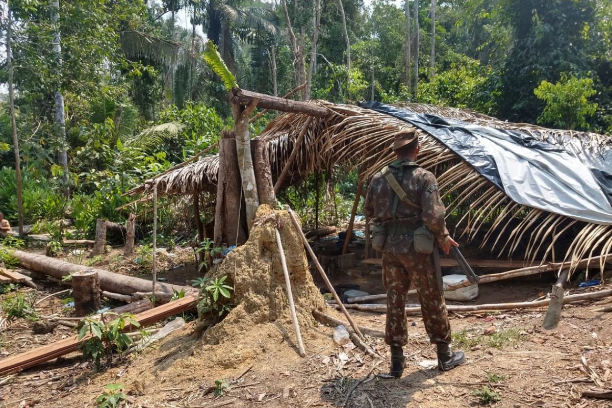 Oito são detidos na Operação Verde Brasil em Rondônia (Foto: Op Verde Brasil/ 17)