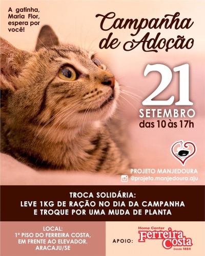 Plante uma árvore e adote um gatinho (Imagem: Divulgação)