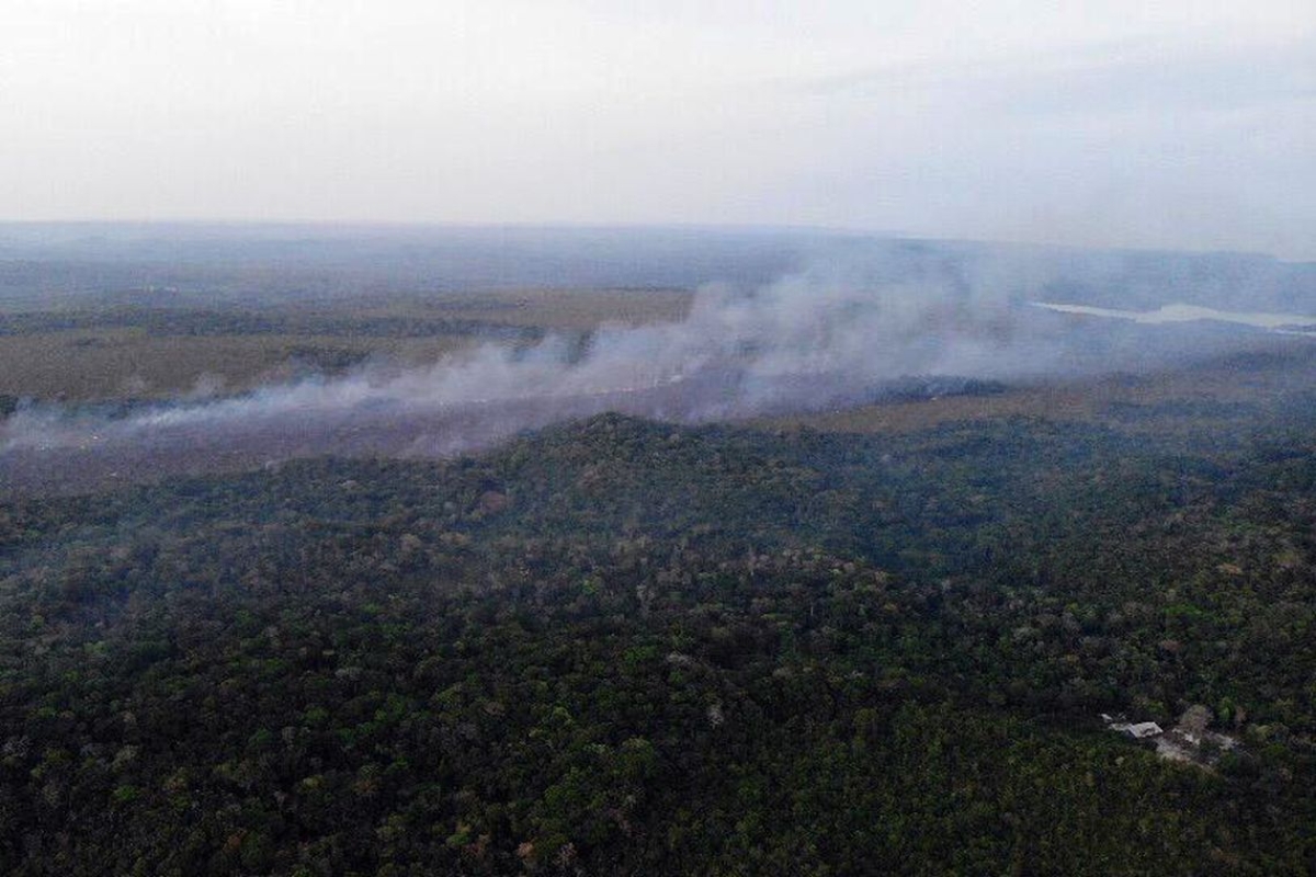 MPF não vê indícios de ação de brigadistas em incêndios florestais (Foto: Divulgação/ Brigada de Alter do Chão/ PA)