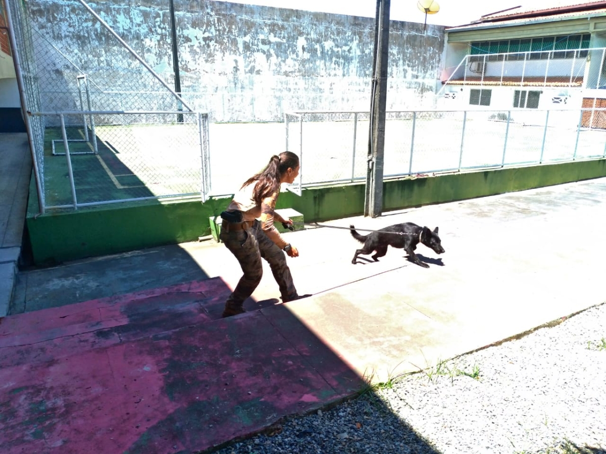 Core abre inscrições para Workshop sobre Cães Detectores de Entorpecentes (Foto: SSP/SE)