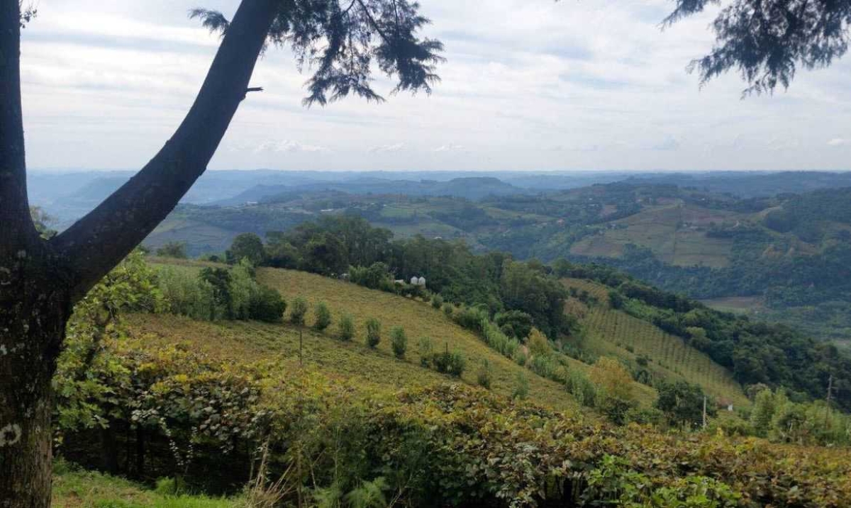 Caxias do Sul sediará Surdolimpíada no ano que vem (Foto: Daniel Isaia/ Agência Brasil)