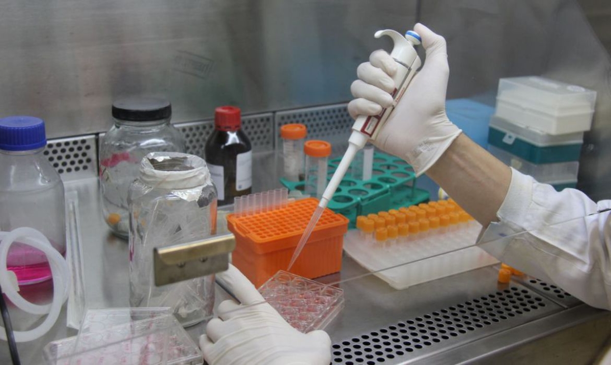 Fiocruz divulga possível eficácia de medicamento contra covid-19 (Foto de arquivo: Fiocruz)
