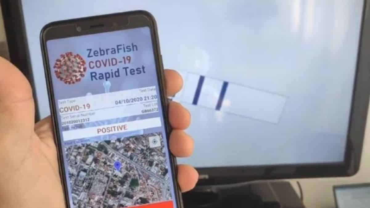 Brasileiros usam peixes para criar app de teste rápido para Covid-19 (Foto: Reprodução/ Jornal da USP)