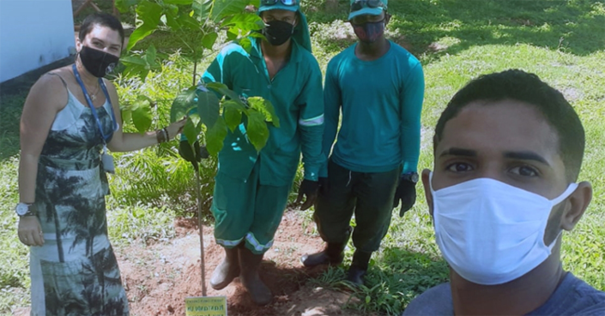 Meio ambiente: como a polinização melhora o ar, a água e os alimentos (Foto: Assessoria de Imprensa Unit)