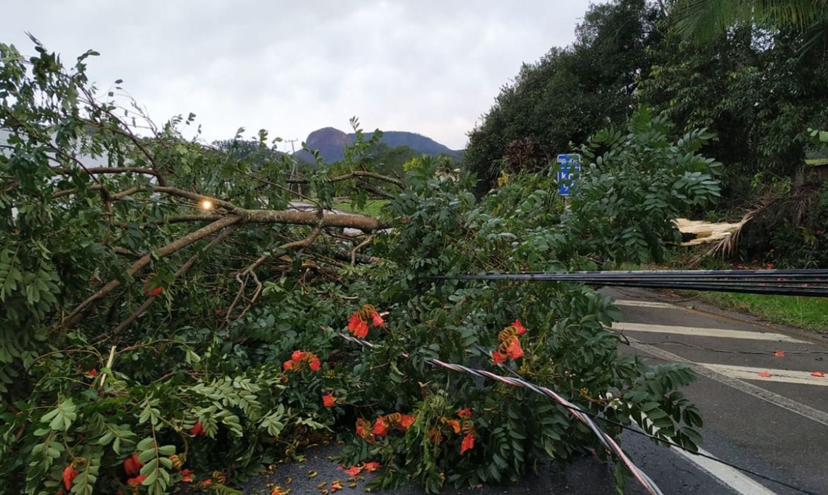 Região Sul volta a entrar em alerta devido a risco de novos temporais (Foto: Divulgação/ Defesa Civil de Santa Catarina)