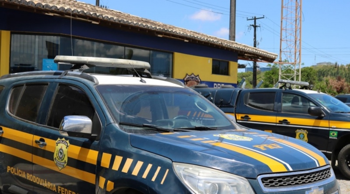 Operação "Pássaro Livre": PRF resgata mais de cem animais silvestres em Sergipe (Foto: PRF/SE)
