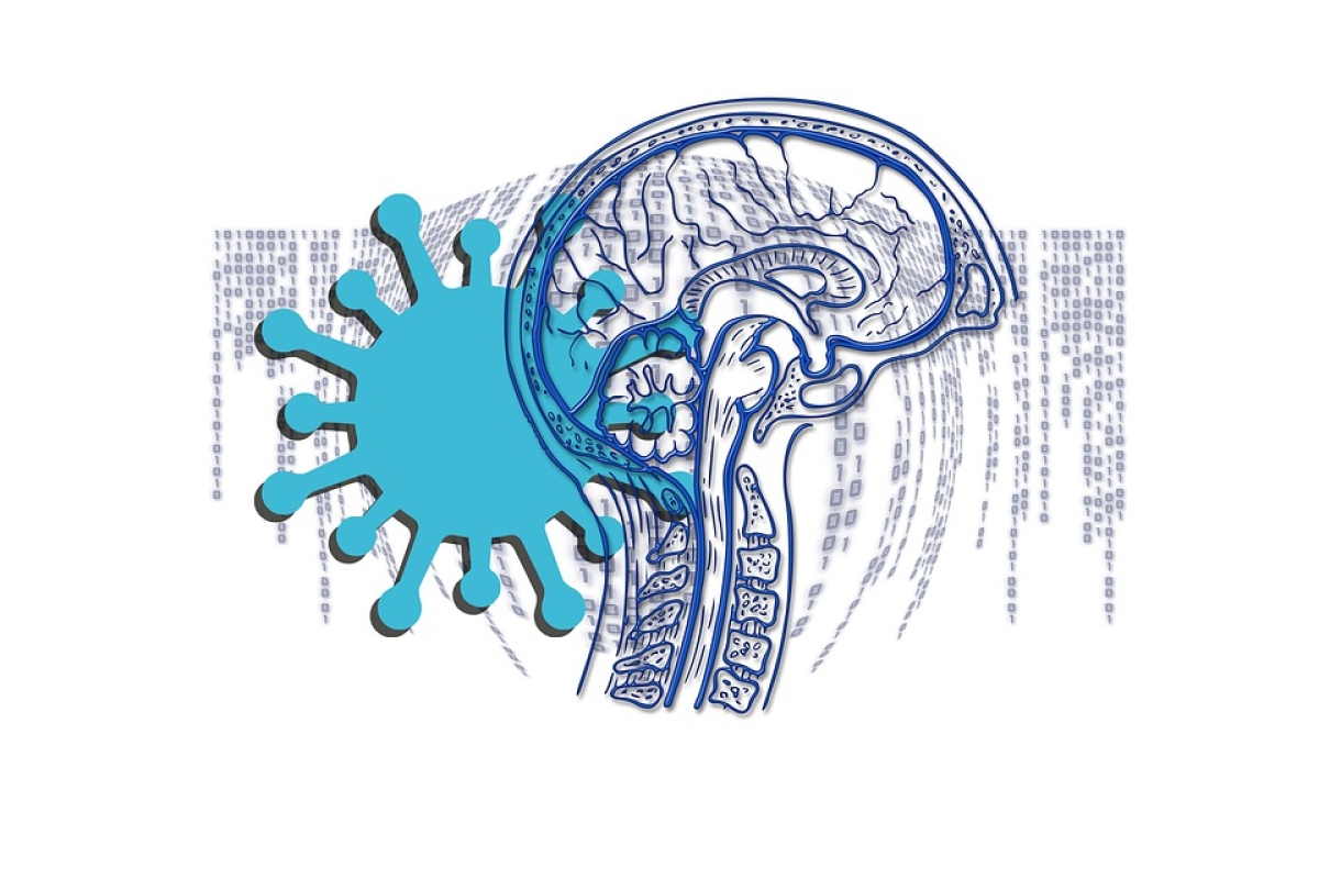 Covid-19 pode afetar o cérebro de 1/3 dos pacientes graves, diz estudo  (Imagem ilustrativa: Pixabay)