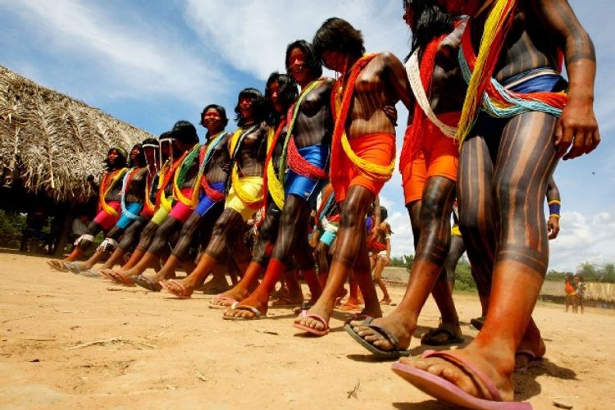 Sergipano defende dissertação sobre proteção de territórios indígenas (Foto: Comitê Intertribal)