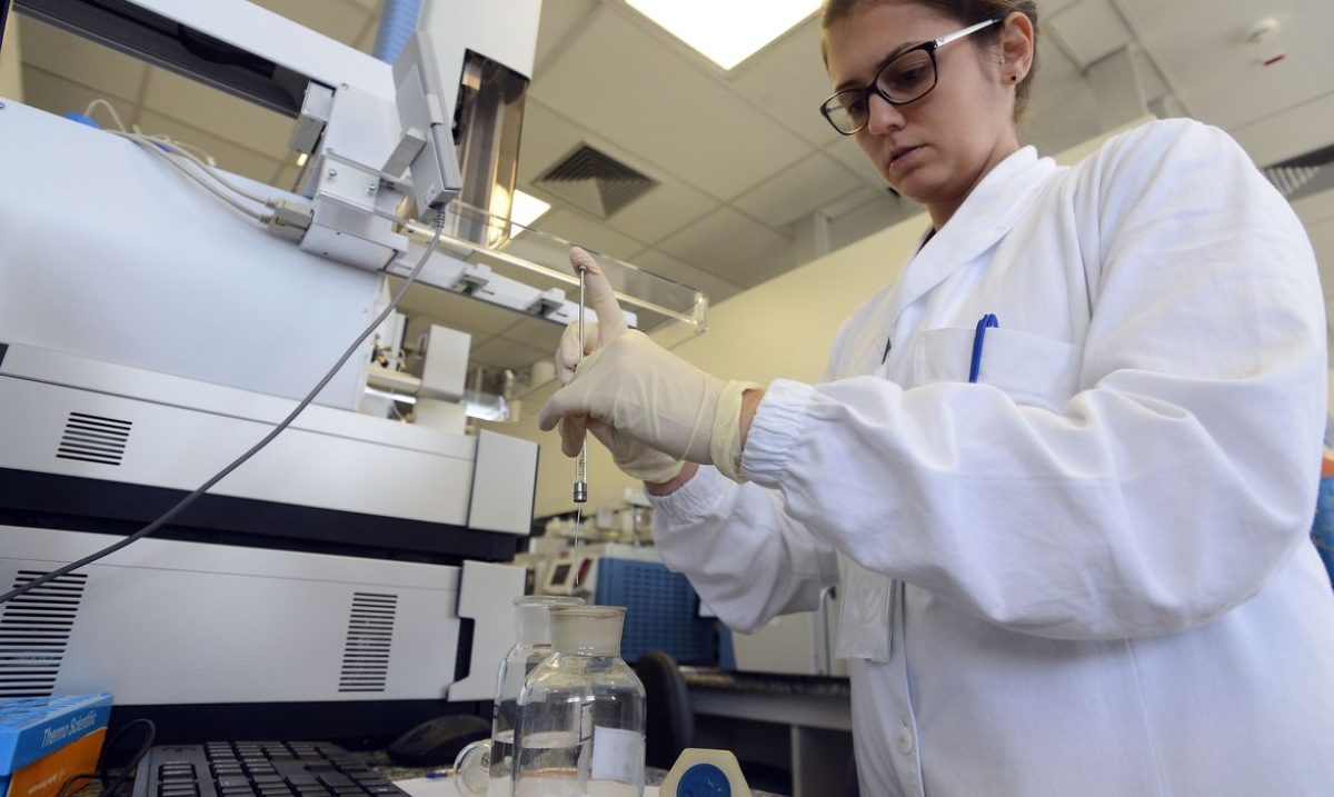 Anvisa publica alerta de risco após confirmar caso de Candida auris (Foto: Tânia Rêgo/ Agência Brasil)
