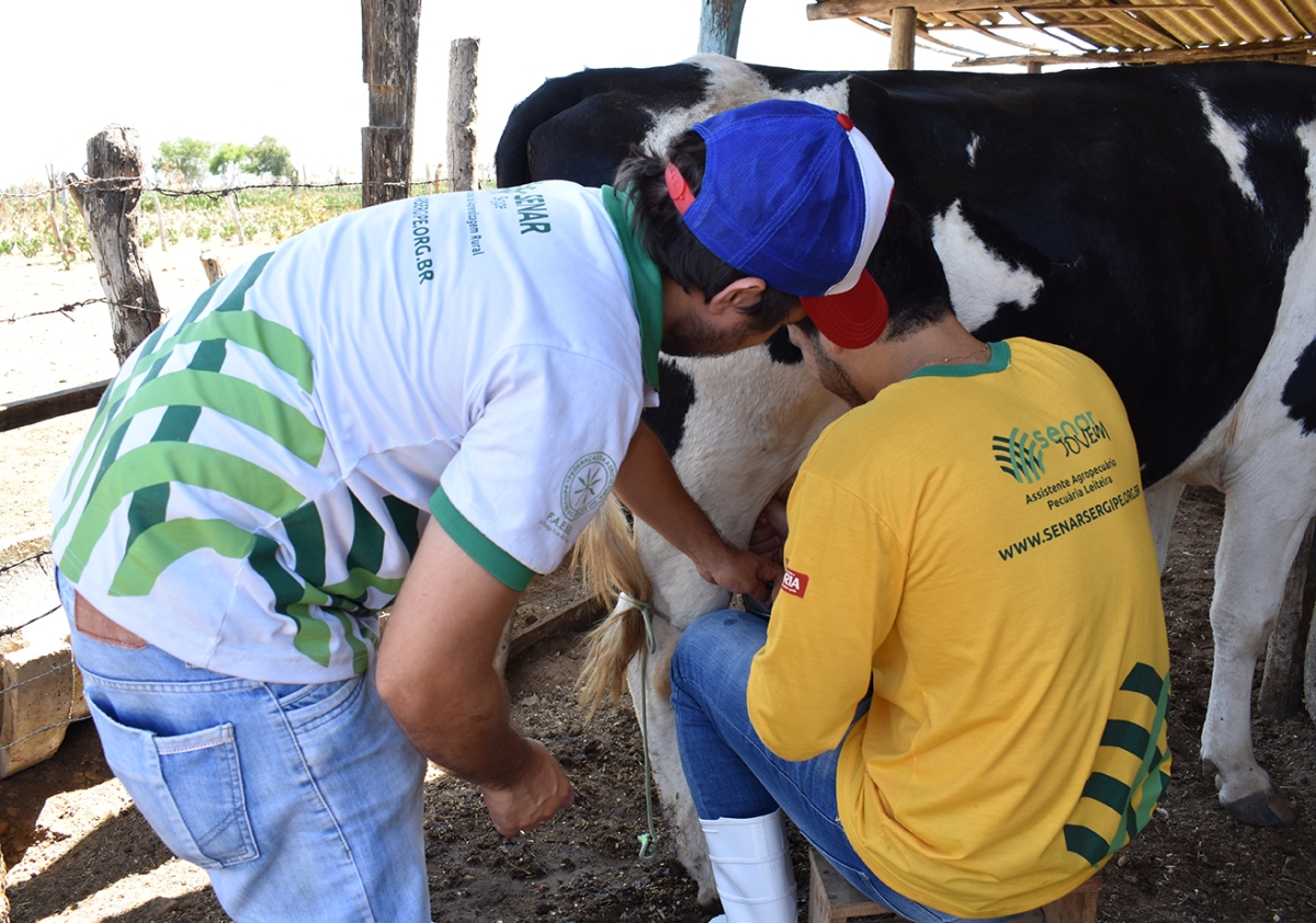 ?ltimos dias para inscrições no curso Senar Jovem em Glória (Foto: Senar Sergipe)