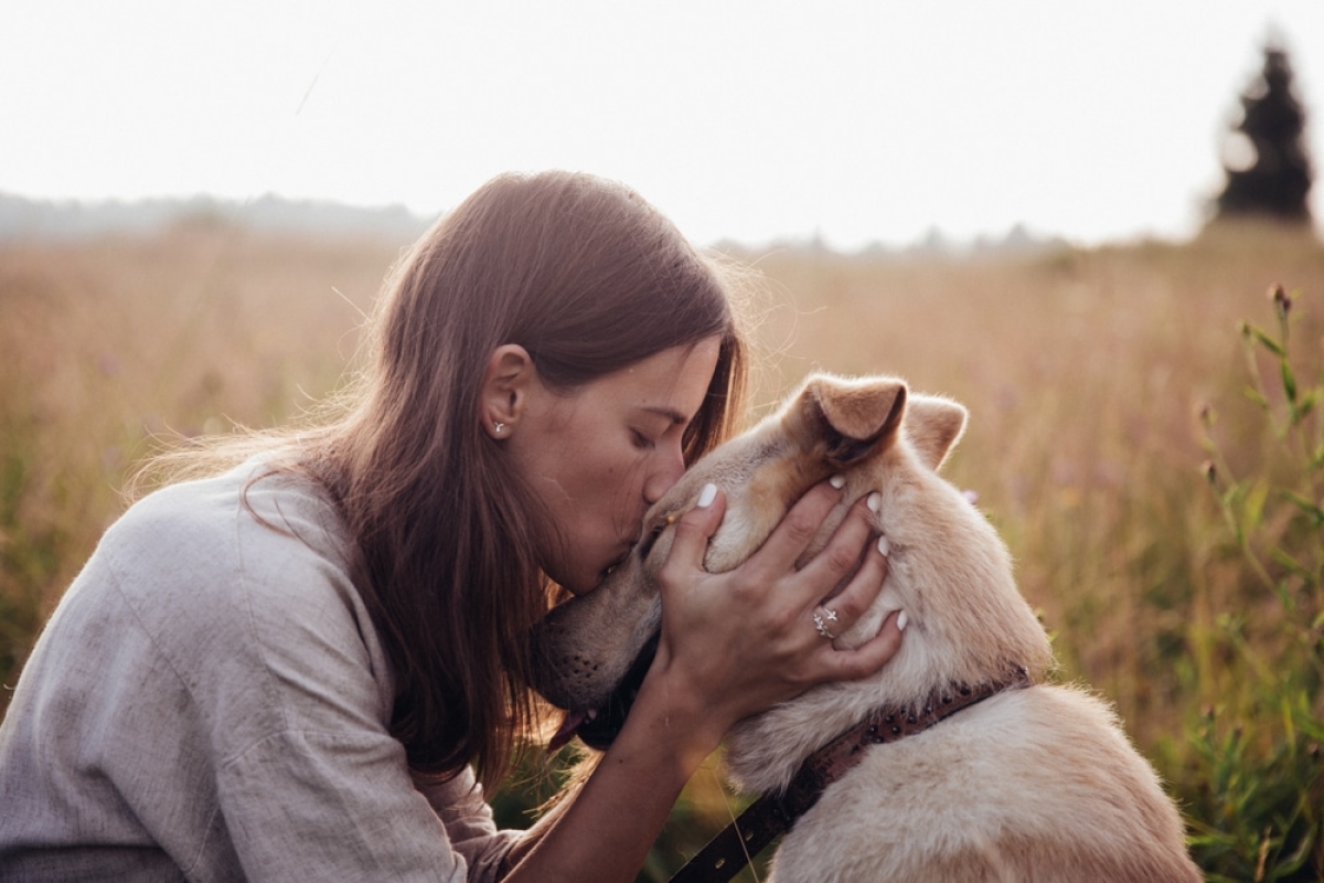 Cães são melhores amigos das mulheres e não dos homens, sugere estudo (Foto: Olhar Digital)