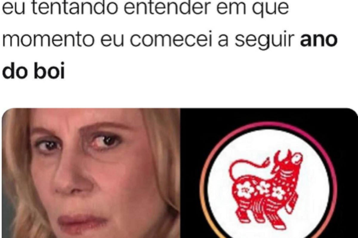 Ano do boi: novo destaque do Instagram confunde usuários e vira meme (Imagem: Reprodução/ Instagram)