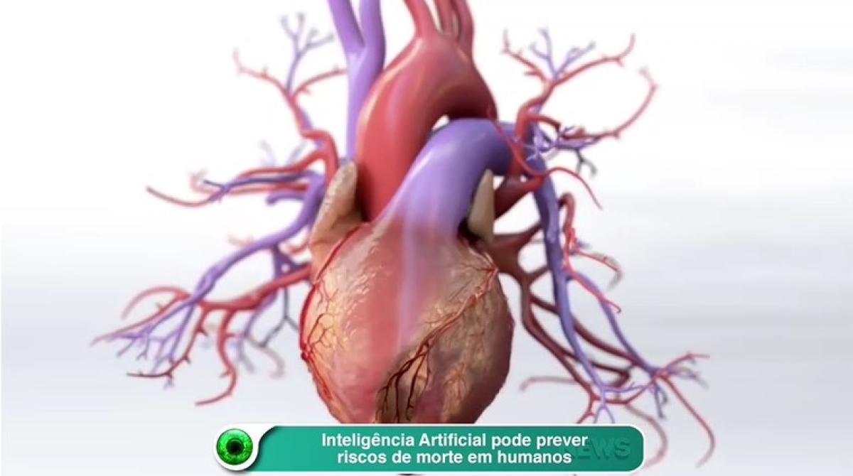 Inteligência Artificial pode prever riscos de morte em humanos (Imagem: Reprodução de vídeo/ Olhar Digital)