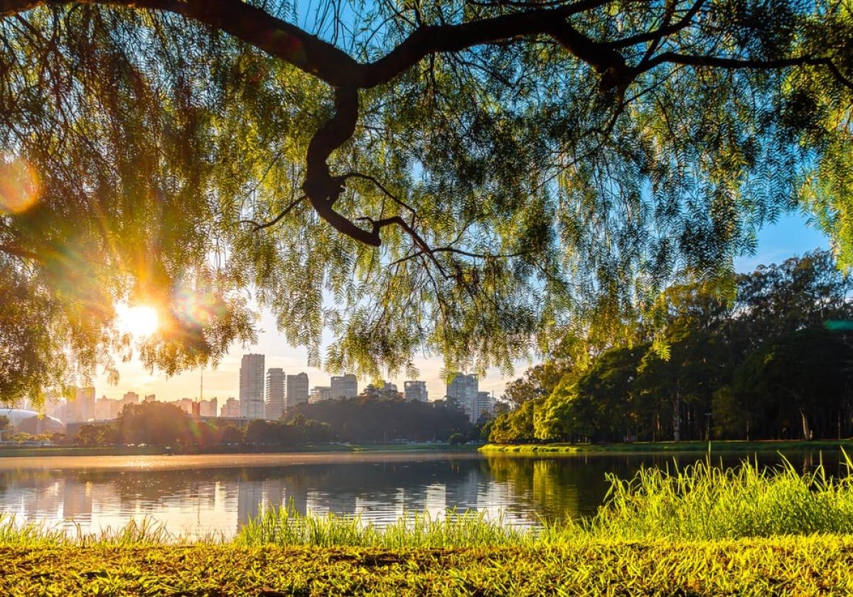 Quintal dos moradores de São Paulo, o Parque Ibirapuera é uma das principais áreas de lazer da cidade (Foto: Carla Passos)