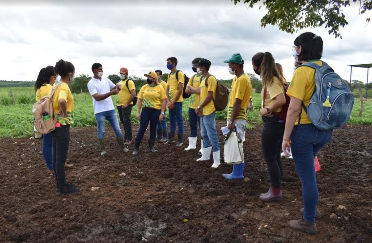 Inscrições abertas os cursos de administração rural, pecuária de corte, equideocultura e fruticultura (Foto: Senar/SE)