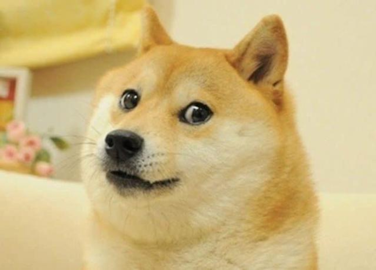 "Doge" rouba o posto do meme NFT mais caro da história, que era ocupado pelo meme "Disaster Girl" (Foto: Olhar Digital)