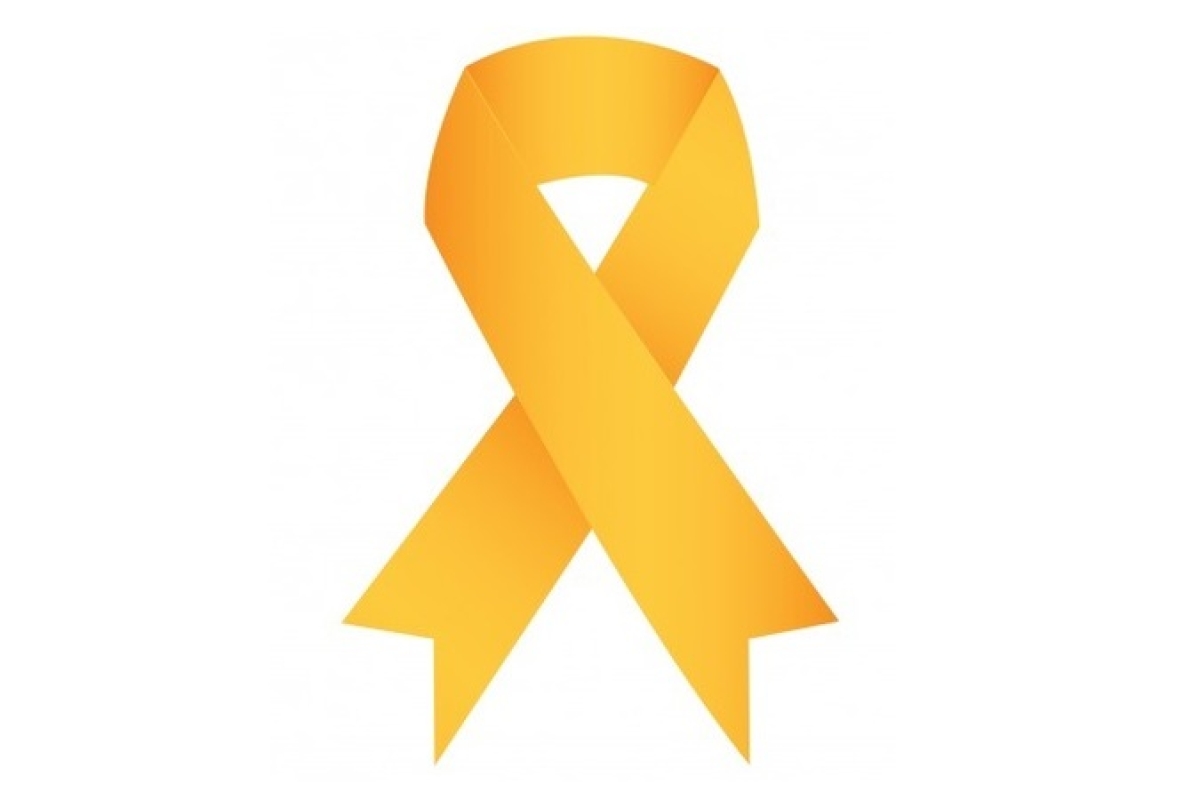 Setembro Amarelo: psicóloga orienta para prevenção ao suicídio (Imagem: SES/SE)