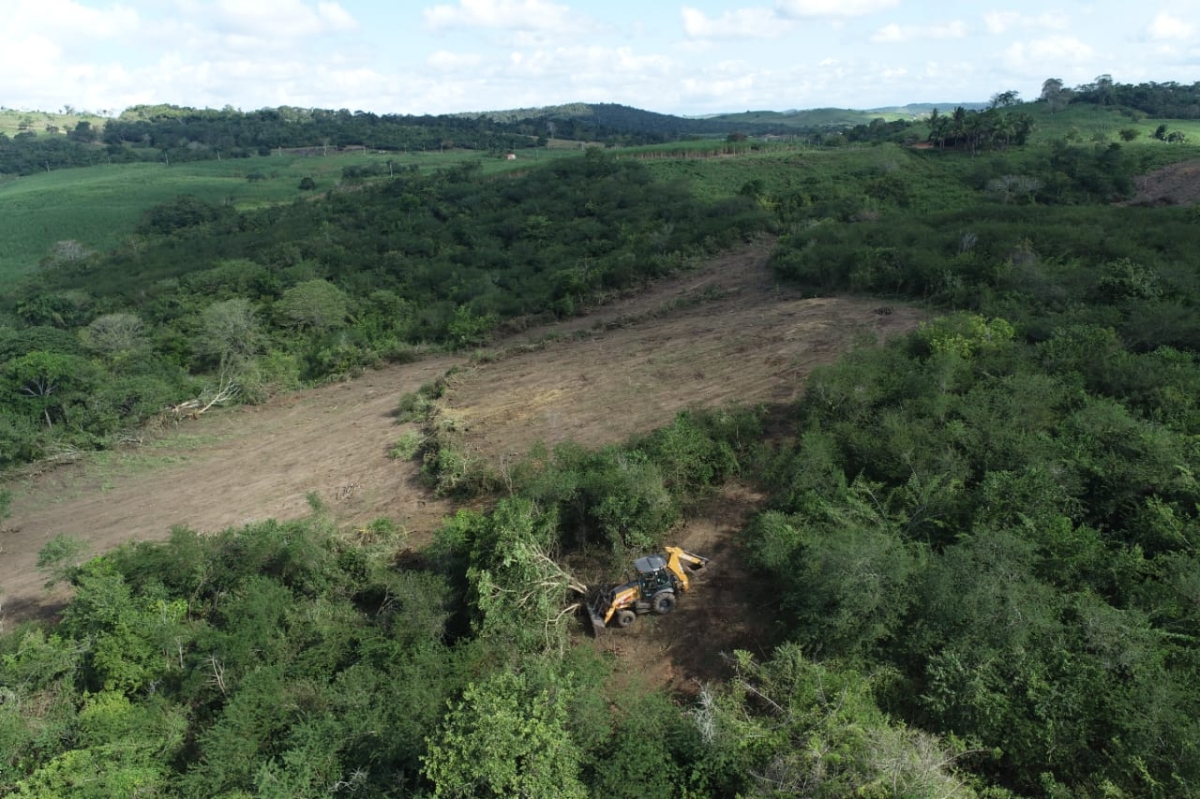 A denúncia foi feita pela população através do aplicativo "ademasergipe" (Foto: Assessoria Adema/SE)