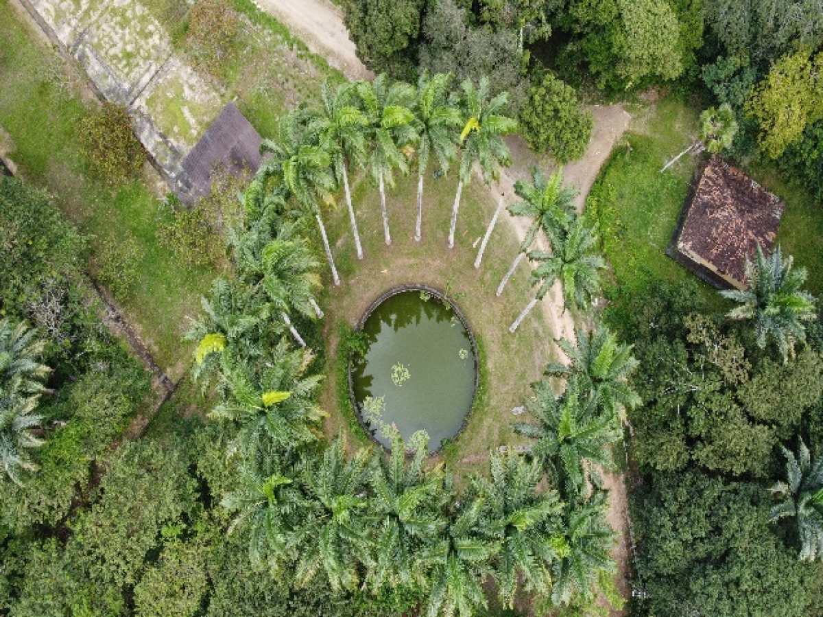 Minicurso de Multiplicadores Ambientais na Unidade de Conservação Flona Ibura (Foto: Assessoria Gestão Ambiental BR-101/NE)