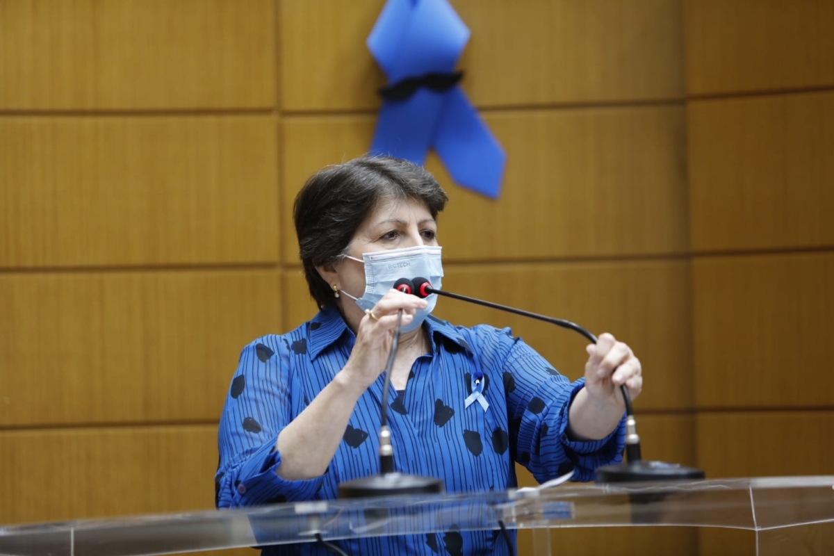 Maria Mendonça propõe e Alese aprova prorrogação de benefício do Cartão Mais (Foto: Assessoria Maria Mendonça)