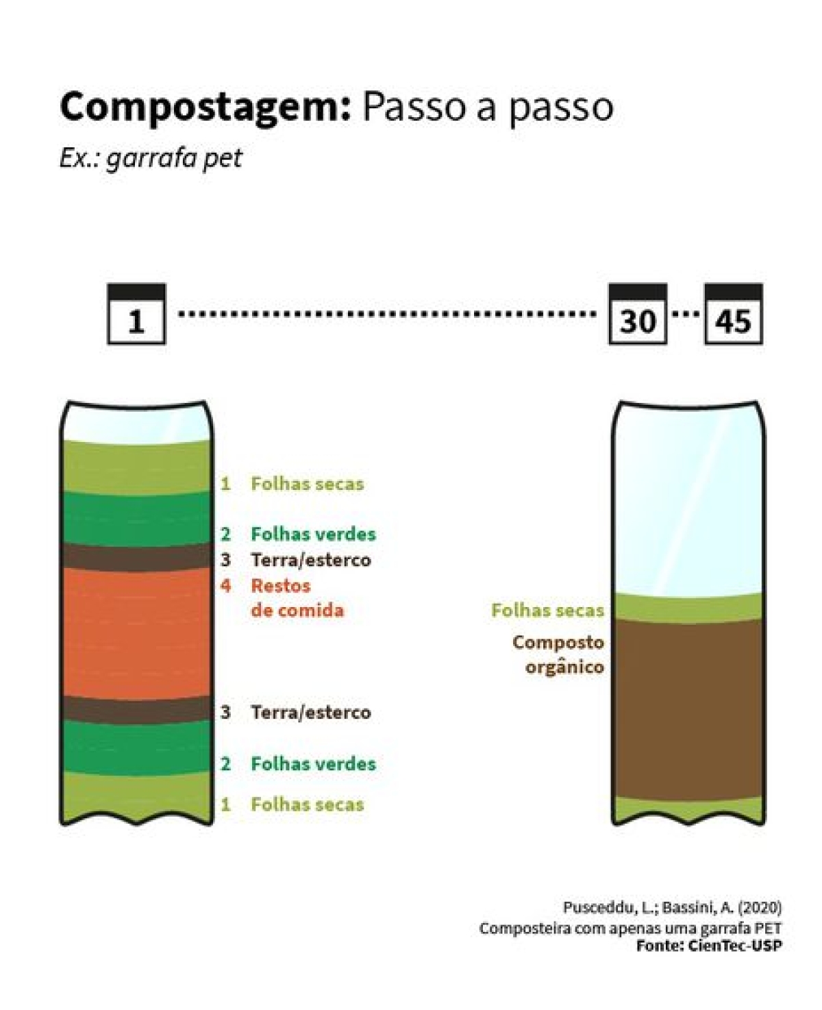 Como fazer compostagem em uma garrafa pet (Imagem: Daniel Dresch/ Arte Agência Brasil)