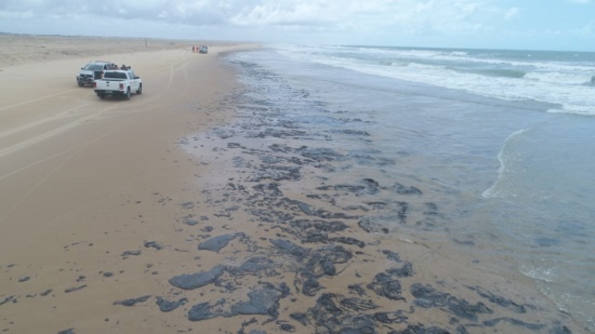 ?leo que atingiu praias do Nordeste veio de petroleiro grego, diz PF (Foto: Adema)