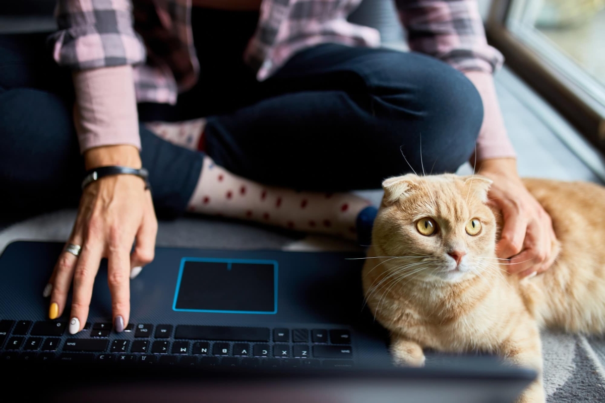 Animais podem pegar Covid-19 de humanos (ou vice-versa)? - Foto: Olhar Digital